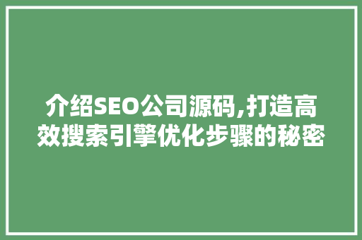 介绍SEO公司源码,打造高效搜索引擎优化步骤的秘密武器 百度SEO