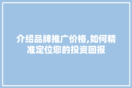 介绍品牌推广价格,如何精准定位您的投资回报 百度SEO