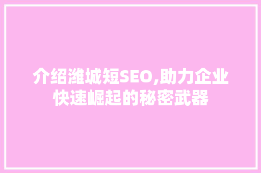 介绍潍城短SEO,助力企业快速崛起的秘密武器 百度SEO
