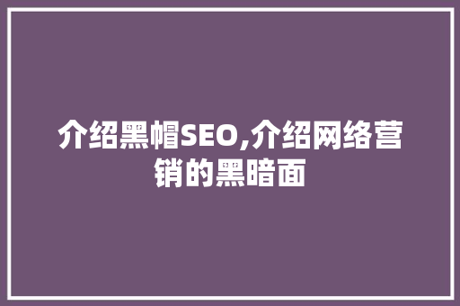 介绍黑帽SEO,介绍网络营销的黑暗面 百度SEO