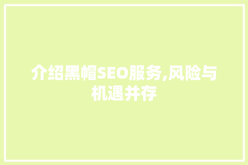介绍黑帽SEO服务,风险与机遇并存 百度SEO