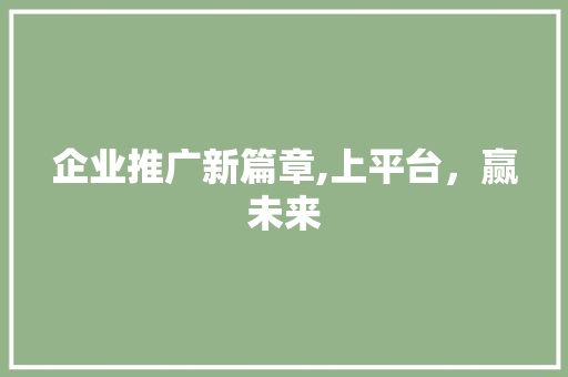 企业推广新篇章,上平台，赢未来 必应SEO