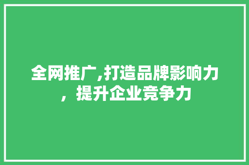 全网推广,打造品牌影响力，提升企业竞争力 GoogleSEO