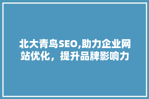 北大青鸟SEO,助力企业网站优化，提升品牌影响力 搜狗SEO