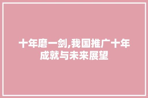 十年磨一剑,我国推广十年成就与未来展望 神马SEO