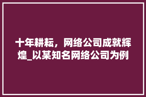 十年耕耘，网络公司成就辉煌_以某知名网络公司为例 GoogleSEO