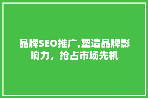 品牌SEO推广,塑造品牌影响力，抢占市场先机 搜狗SEO