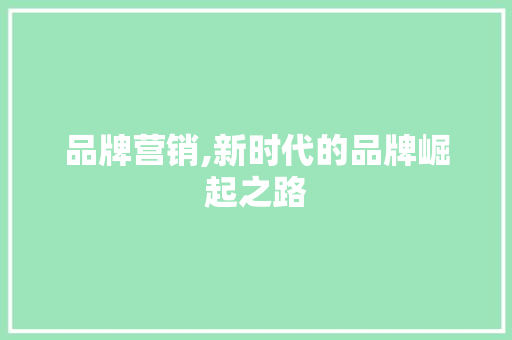 品牌营销,新时代的品牌崛起之路 必应SEO