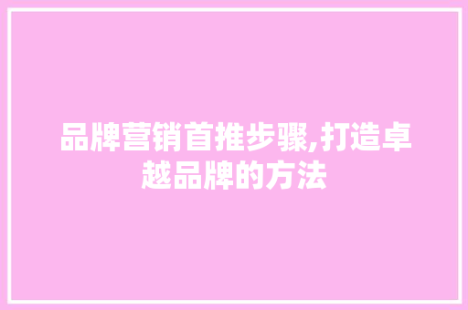 品牌营销首推步骤,打造卓越品牌的方法 GoogleSEO