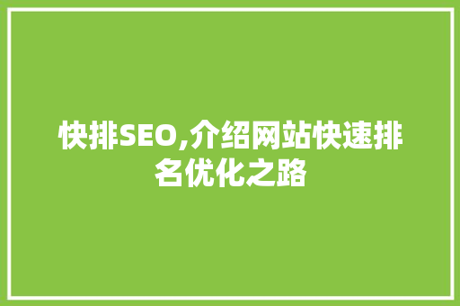 快排SEO,介绍网站快速排名优化之路 GoogleSEO
