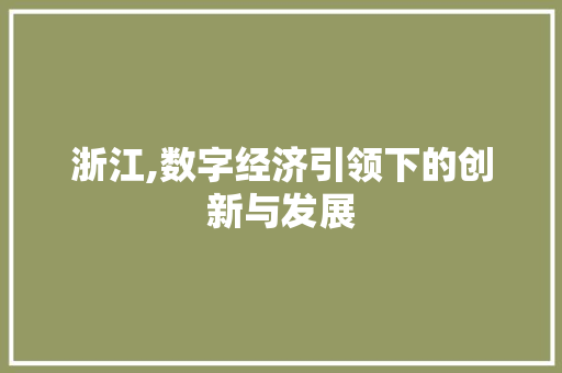 浙江,数字经济引领下的创新与发展 必应SEO