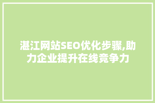 湛江网站SEO优化步骤,助力企业提升在线竞争力 百度SEO