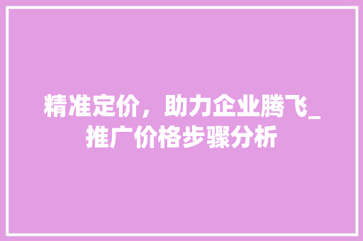 精准定价，助力企业腾飞_推广价格步骤分析 百度SEO