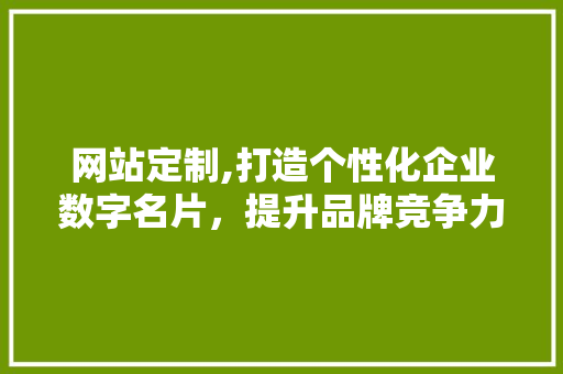 网站定制,打造个性化企业数字名片，提升品牌竞争力 搜狗SEO