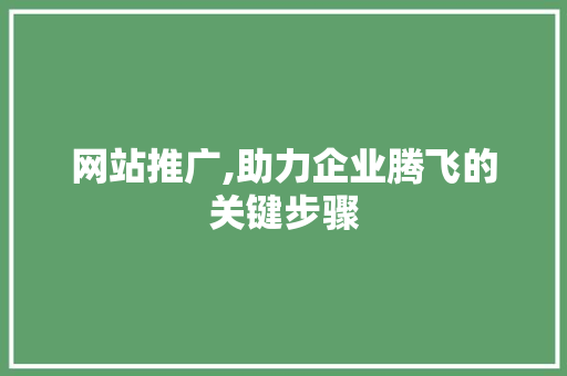 网站推广,助力企业腾飞的关键步骤 百度SEO