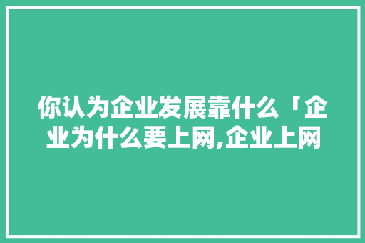 你认为企业发展靠什么「企业为什么要上网,企业上网做什么」 你认为企业发展靠什么「企业为什么要上网,企业上网做什么」 神马SEO