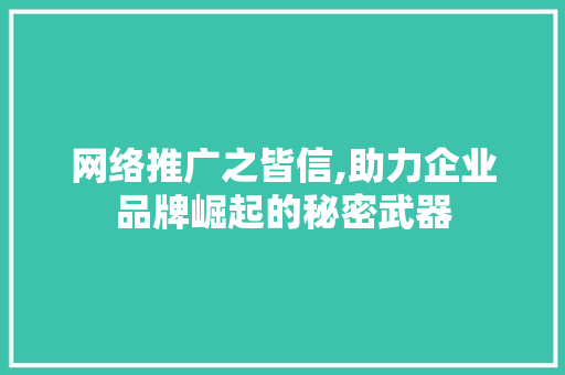 网络推广之皆信,助力企业品牌崛起的秘密武器 神马SEO