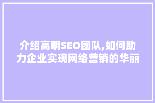 介绍高明SEO团队,如何助力企业实现网络营销的华丽蜕变 GoogleSEO