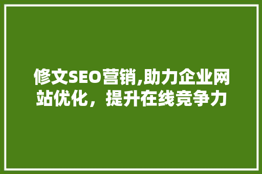 修文SEO营销,助力企业网站优化，提升在线竞争力