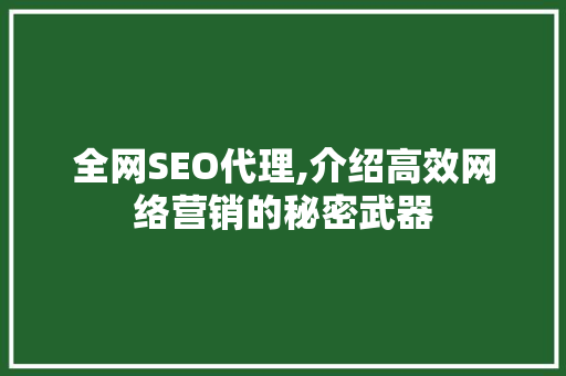 全网SEO代理,介绍高效网络营销的秘密武器 GoogleSEO