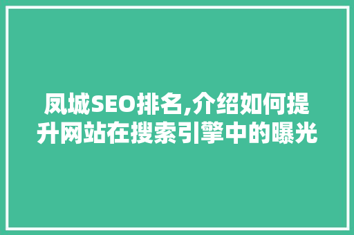 凤城SEO排名,介绍如何提升网站在搜索引擎中的曝光度 百度SEO