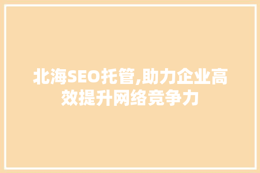 北海SEO托管,助力企业高效提升网络竞争力 GoogleSEO