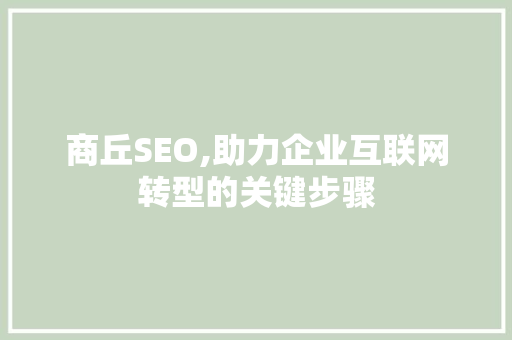 商丘SEO,助力企业互联网转型的关键步骤 百度SEO