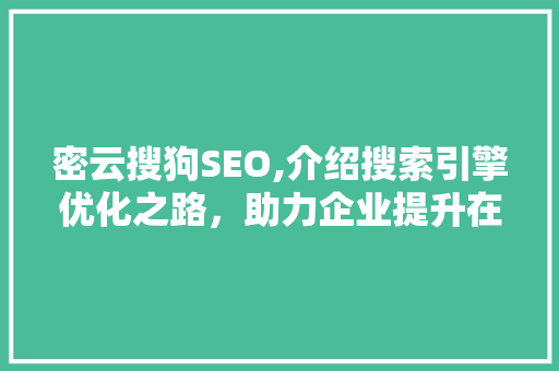 密云搜狗SEO,介绍搜索引擎优化之路，助力企业提升在线竞争力 百度SEO