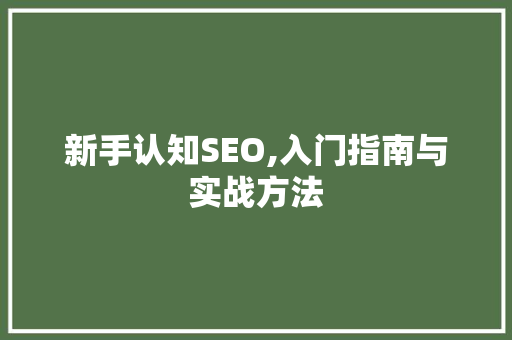 新手认知SEO,入门指南与实战方法 必应SEO