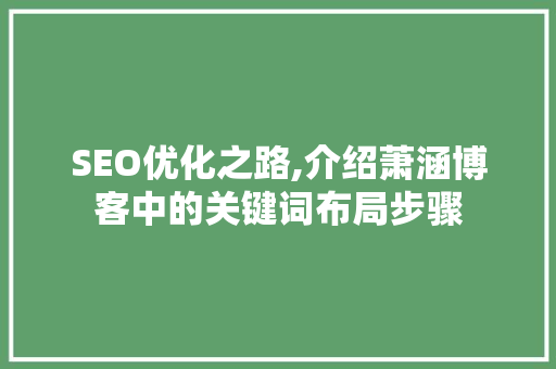 SEO优化之路,介绍萧涵博客中的关键词布局步骤 百度SEO
