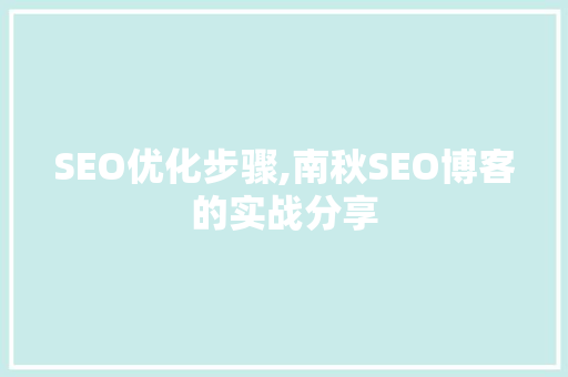 SEO优化步骤,南秋SEO博客的实战分享 GoogleSEO