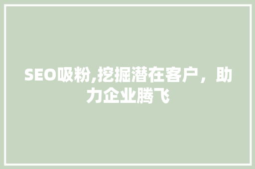 SEO吸粉,挖掘潜在客户，助力企业腾飞 GoogleSEO
