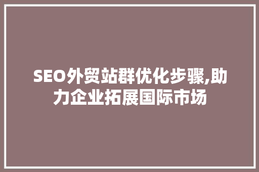 SEO外贸站群优化步骤,助力企业拓展国际市场 GoogleSEO