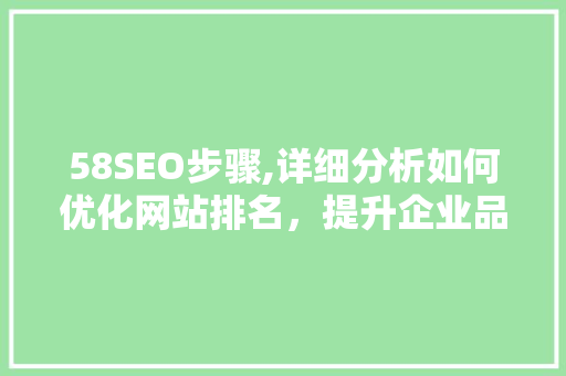 58SEO步骤,详细分析如何优化网站排名，提升企业品牌影响力 必应SEO