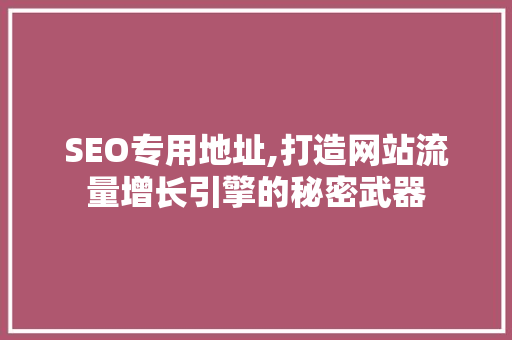 SEO专用地址,打造网站流量增长引擎的秘密武器 必应SEO