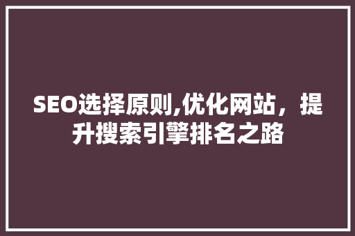 SEO选择原则,优化网站，提升搜索引擎排名之路