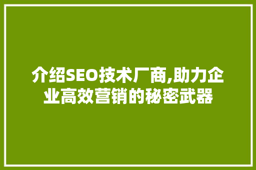 介绍SEO技术厂商,助力企业高效营销的秘密武器 GoogleSEO