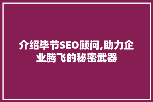 介绍毕节SEO顾问,助力企业腾飞的秘密武器 搜狗SEO