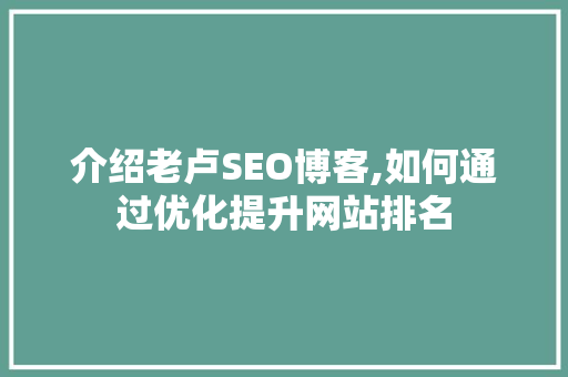介绍老卢SEO博客,如何通过优化提升网站排名 百度SEO