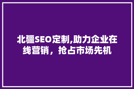 北疆SEO定制,助力企业在线营销，抢占市场先机 百度SEO