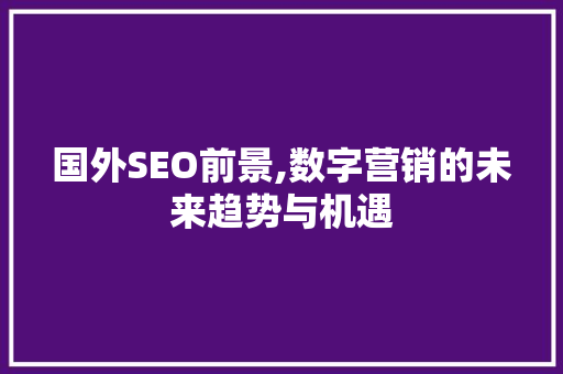 国外SEO前景,数字营销的未来趋势与机遇 百度SEO