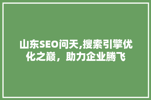山东SEO问天,搜索引擎优化之巅，助力企业腾飞 必应SEO