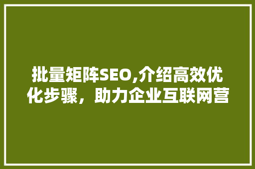 批量矩阵SEO,介绍高效优化步骤，助力企业互联网营销腾飞 百度SEO
