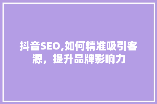 抖音SEO,如何精准吸引客源，提升品牌影响力 GoogleSEO