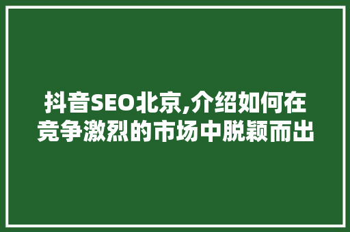 抖音SEO北京,介绍如何在竞争激烈的市场中脱颖而出 神马SEO