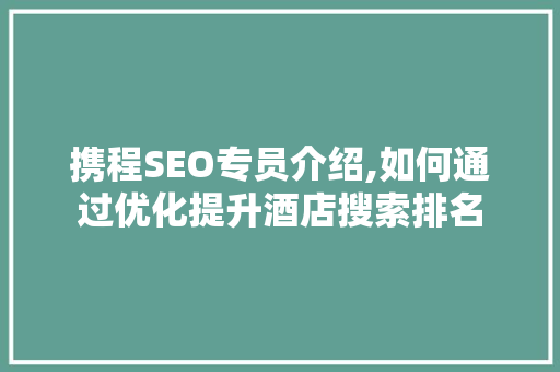 携程SEO专员介绍,如何通过优化提升酒店搜索排名 必应SEO