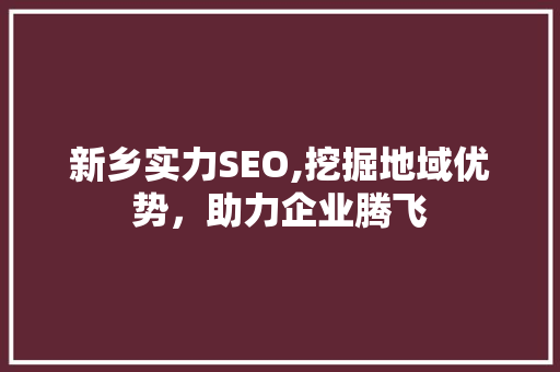 新乡实力SEO,挖掘地域优势，助力企业腾飞 GoogleSEO