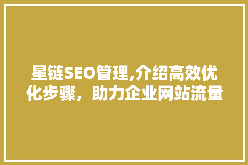星链SEO管理,介绍高效优化步骤，助力企业网站流量增长