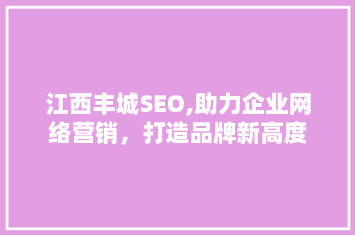 江西丰城SEO,助力企业网络营销，打造品牌新高度
