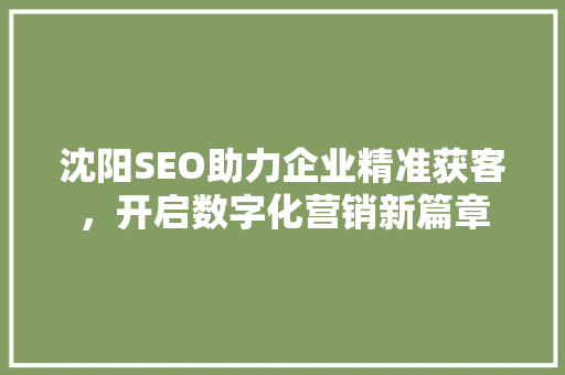 沈阳SEO助力企业精准获客，开启数字化营销新篇章 搜狗SEO